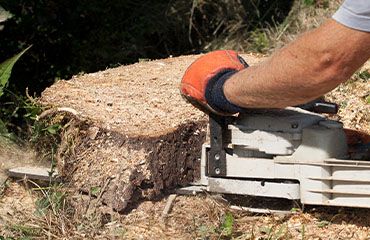 Man cutting down a tree stump